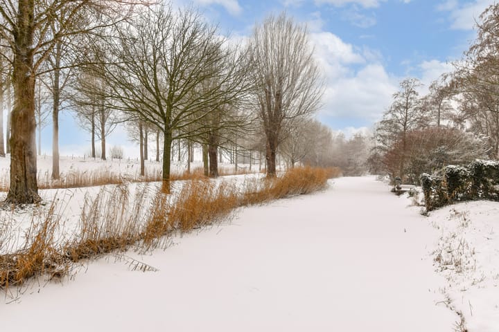 Foto 30 van Abeelstraat 34