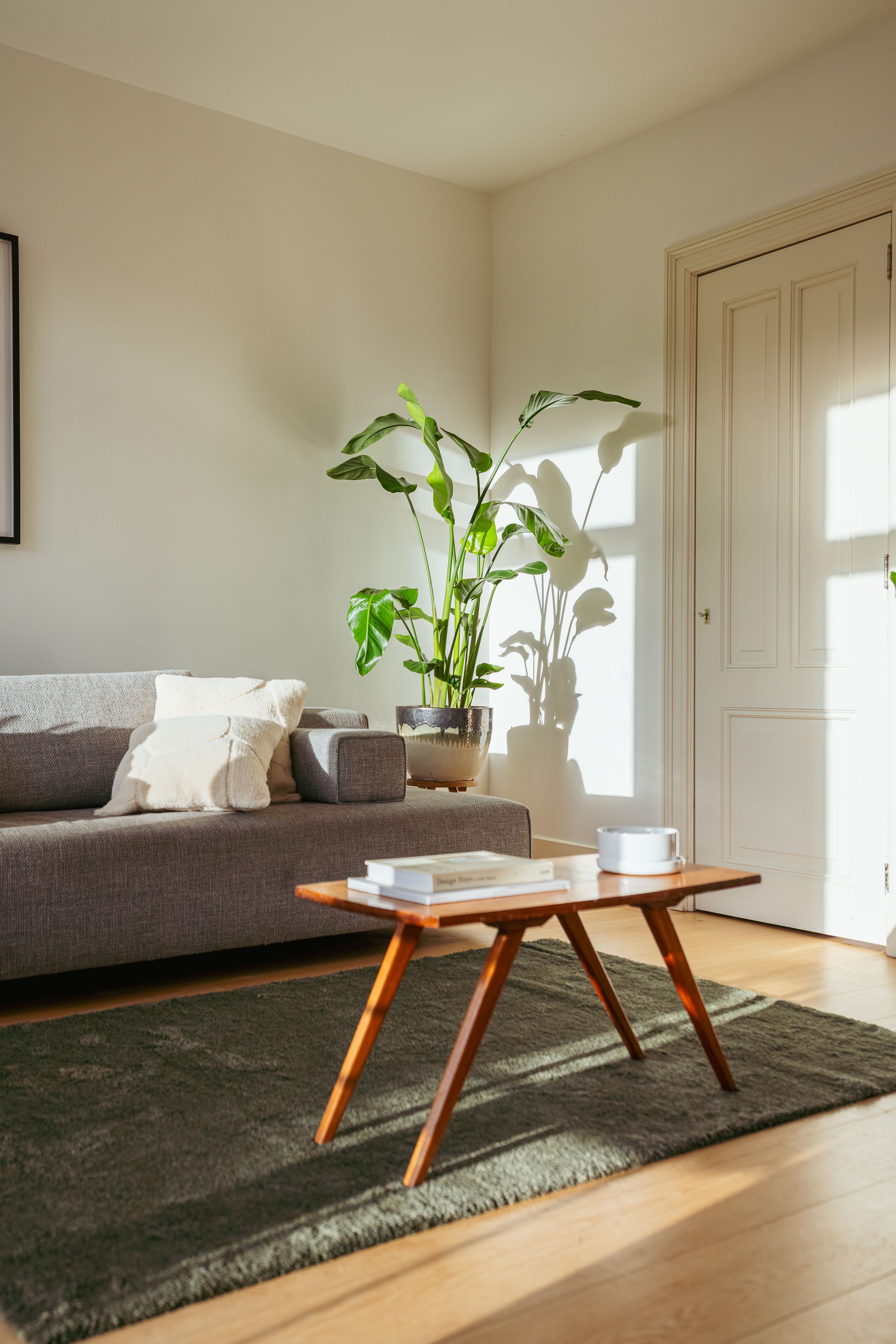 Foto 9 van Javastraat 25-3