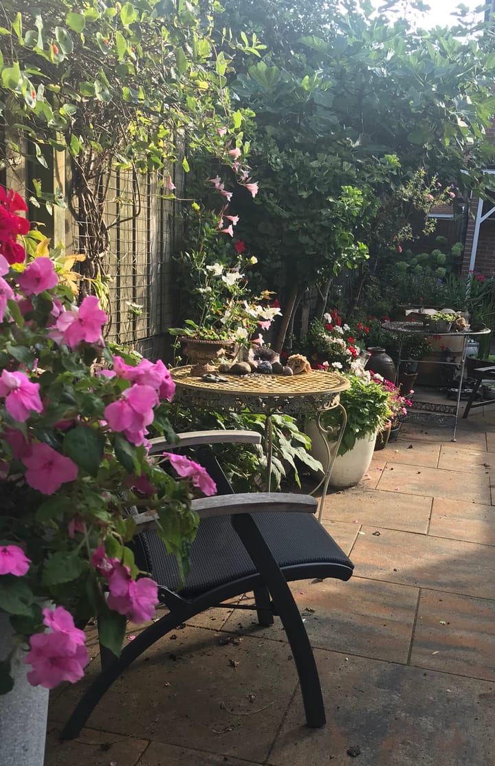 Photo 33 of Leeuwerik 2