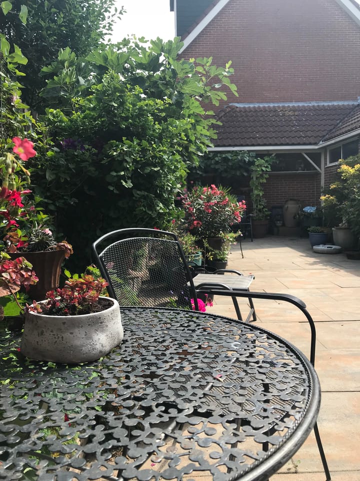 Photo 34 of Leeuwerik 2