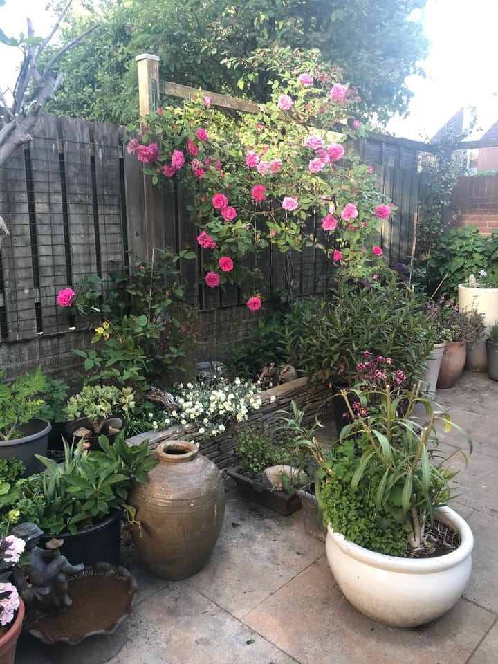 Photo 35 of Leeuwerik 2