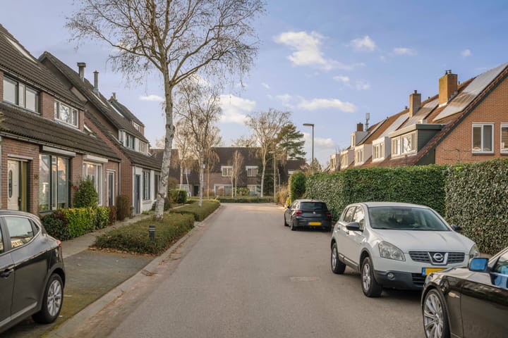 Photo 41 of Leeuwerik 2