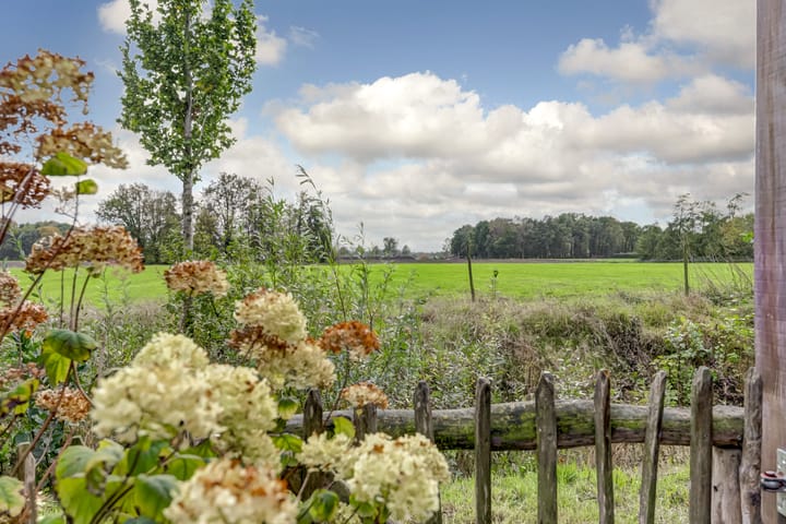 Foto 42 van Hoekakker 12