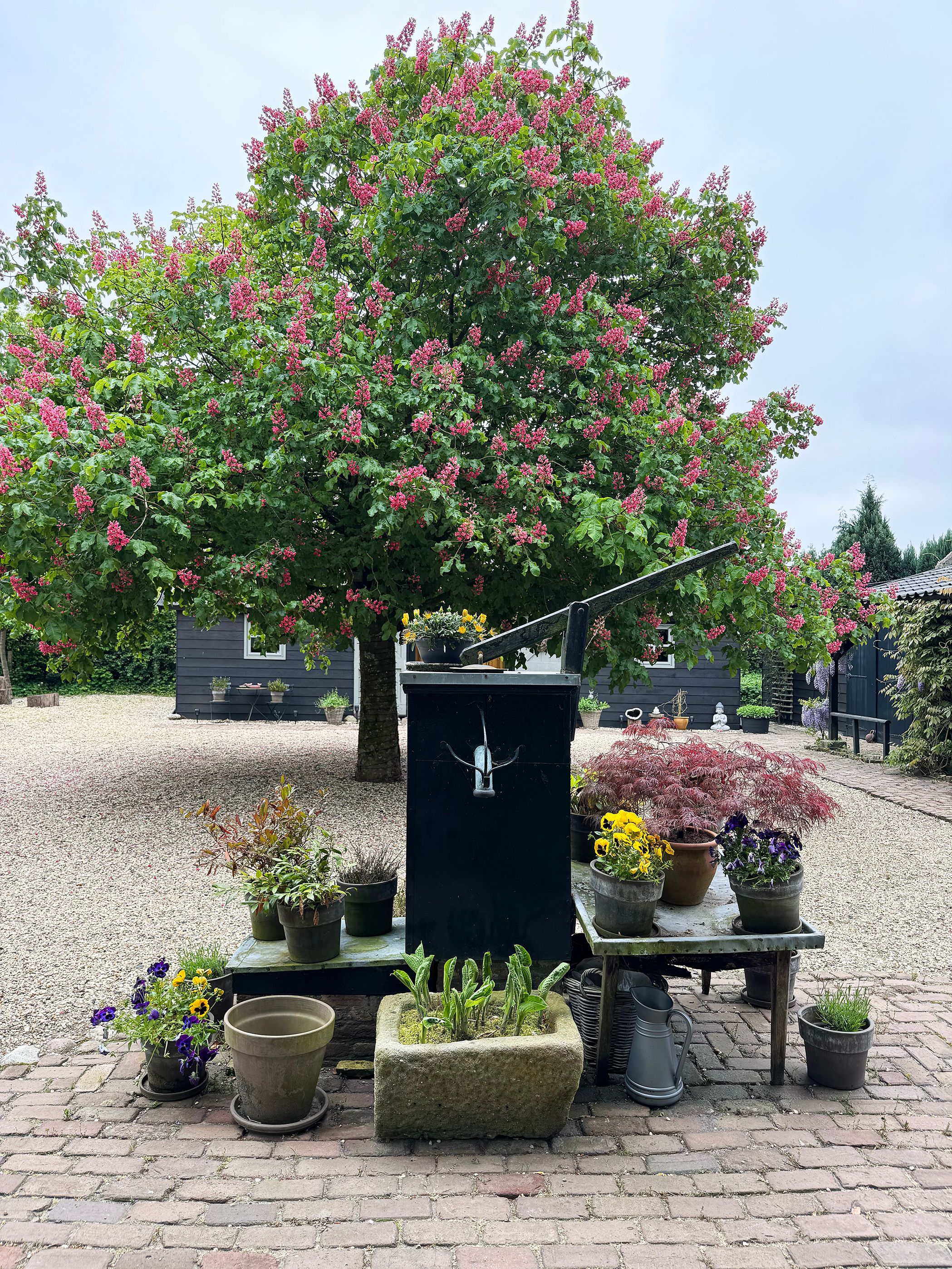 Photo 99 of Harderwijkerweg 397