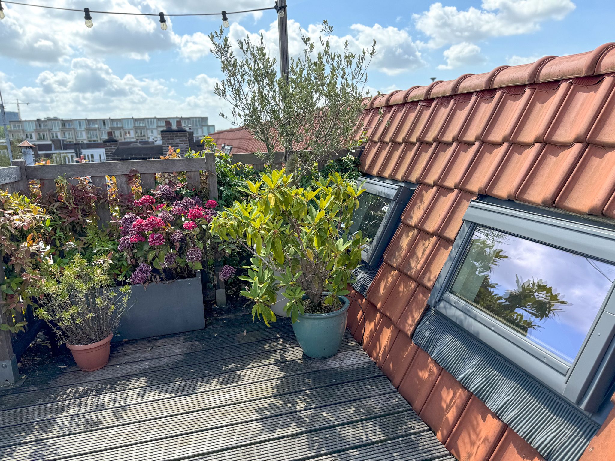 Foto 21 van Hestiastraat 59-4