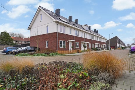 Sardijngeulstraat thumbnail