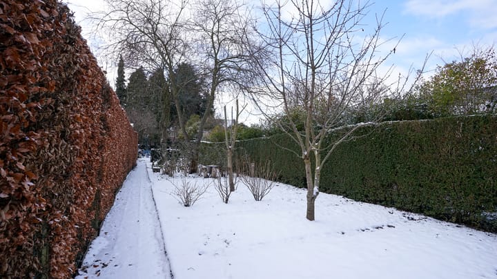 Foto 51 van O.L.Vrouwestraat 121