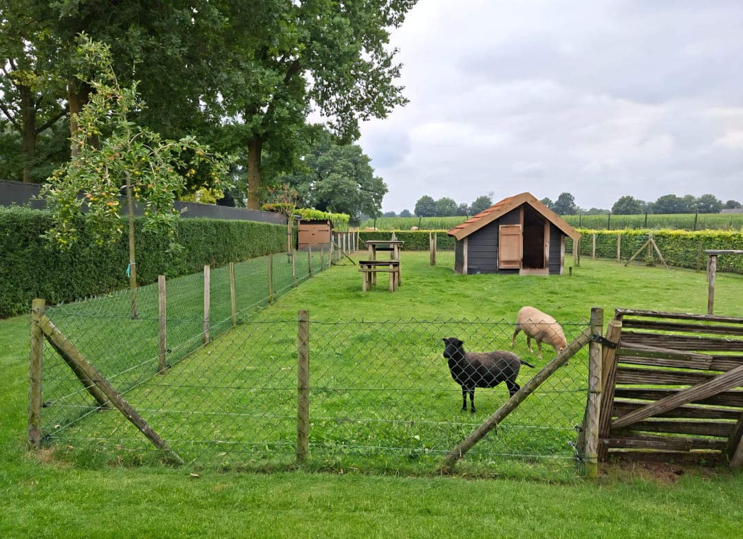 Photo 52 of Laageindsedijk 21