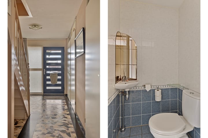 Foto 8 van Waterviolier 190