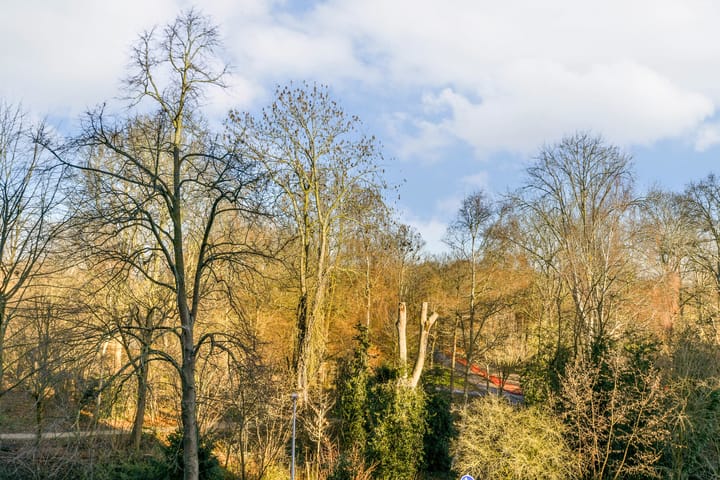 Foto 15 van Lokhorst 35