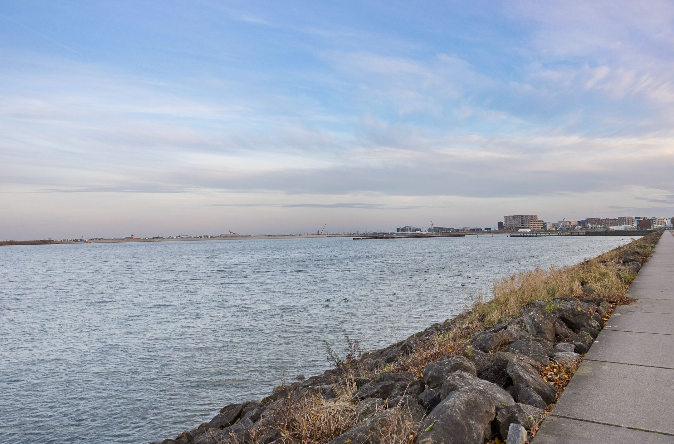 Foto 33 van Erich Salomonstraat 603