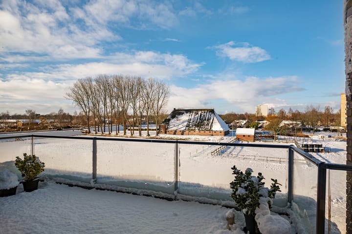 Foto 15 van Hoofden 1-203