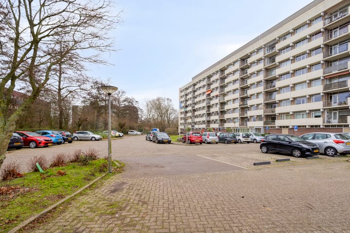 Photo 21 of Henry Dunantlaan 188