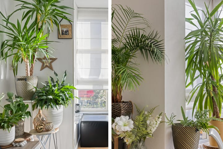 Foto 12 van Agatha Christielaan 17