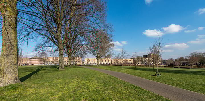 Foto 20 van Tamboerijnstraat 87