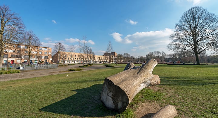 Foto 21 van Tamboerijnstraat 87