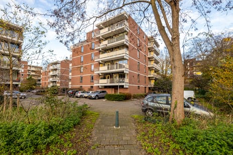 Melis Stokezijde thumbnail