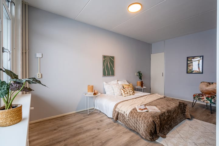 Photo 4 of Scheerling 201