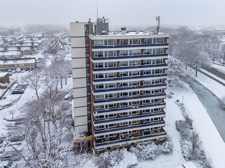 Photo 8 of Scheerling 201