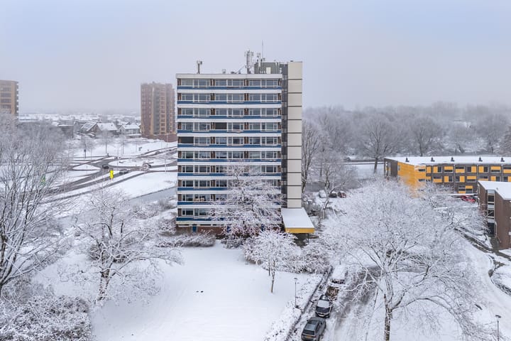 Photo 10 of Scheerling 201