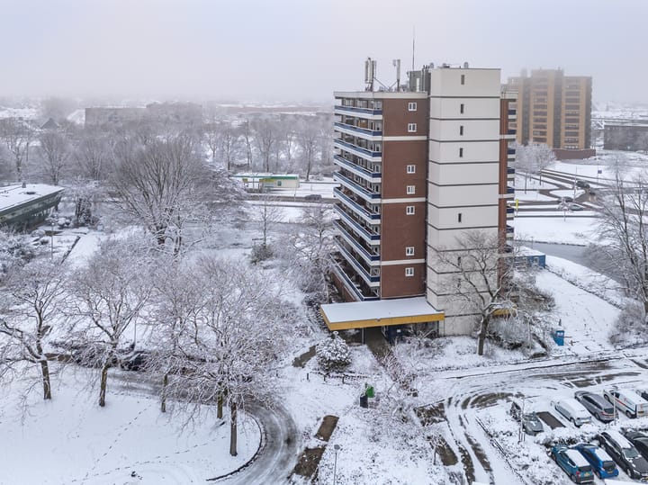 Photo 11 of Scheerling 201