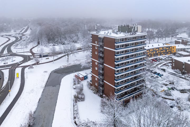 Photo 12 of Scheerling 201