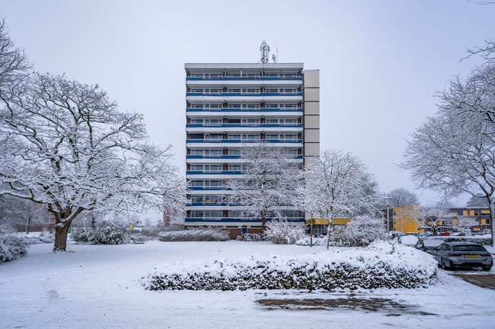 Photo 13 of Scheerling 201