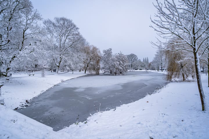 Photo 42 of Scheerling 201