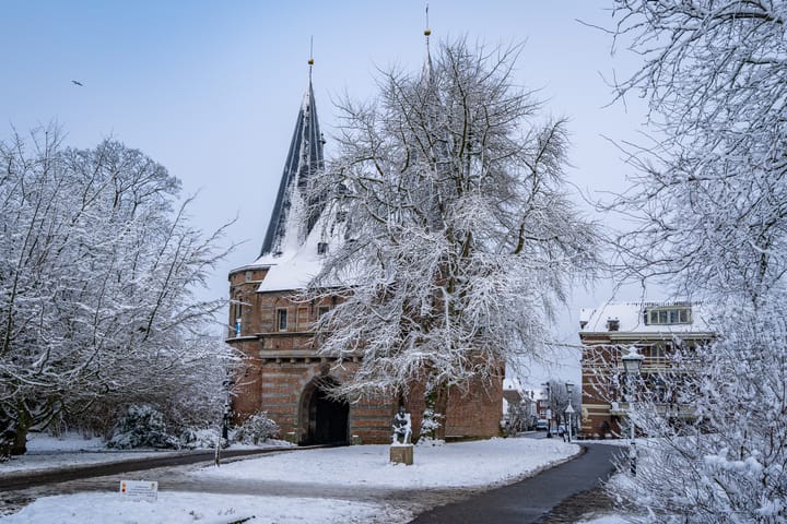 Photo 43 of Scheerling 201