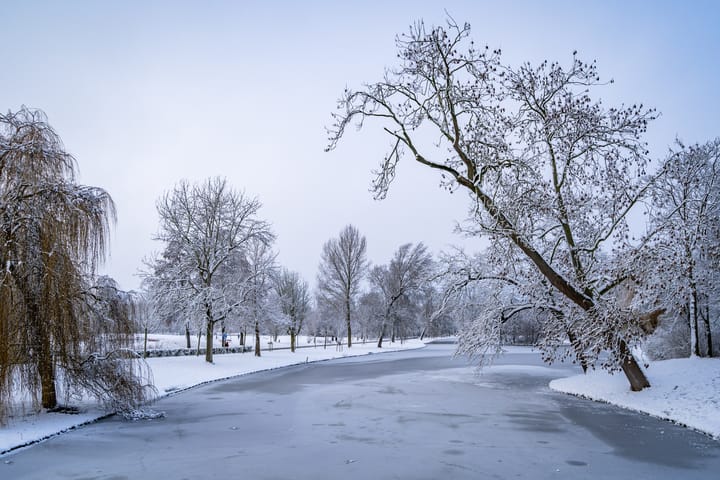 Photo 44 of Scheerling 201