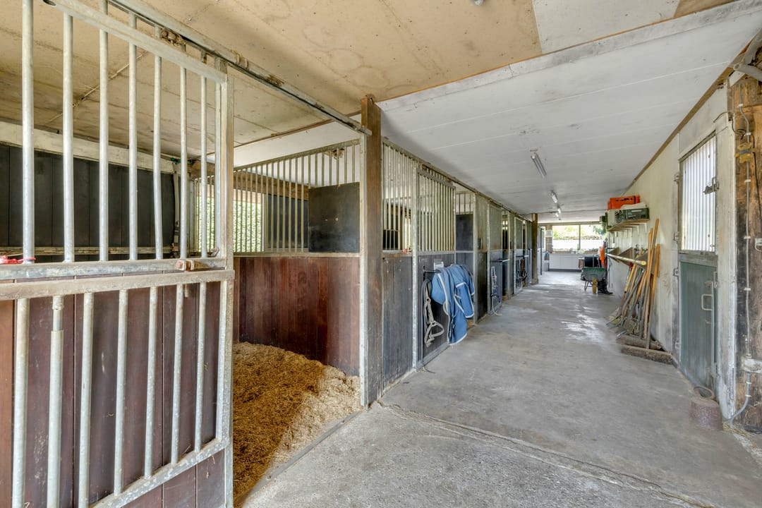 Foto 62 van Hoefweg 6