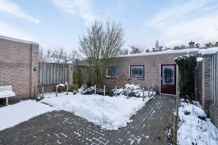 Foto 39 van Morgen 7