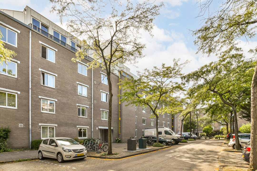 Photo 28 of Honingen 27