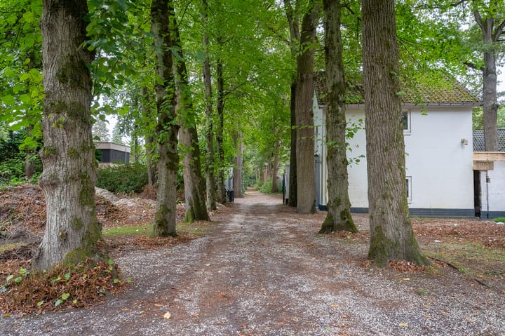 Foto 42 van Berkenheuveldreef 11