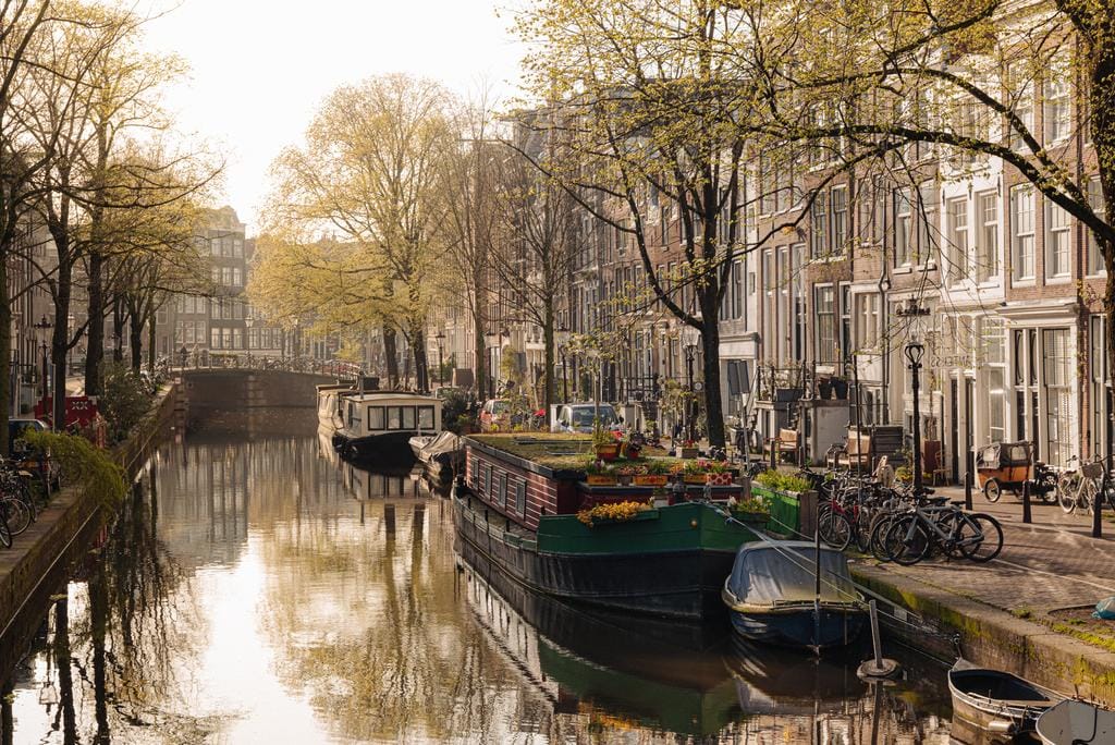 Foto 23 van Bloemstraat 96-A