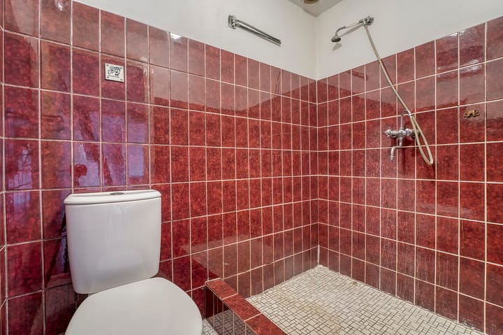 Foto 21 van Ligusterstraat 2