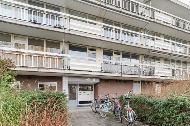 Photo 41 of Zangvogelweg 53