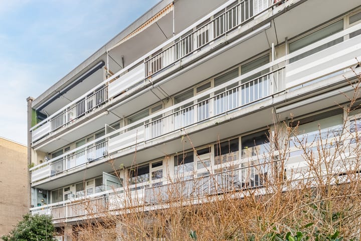 Photo 45 of Zangvogelweg 53