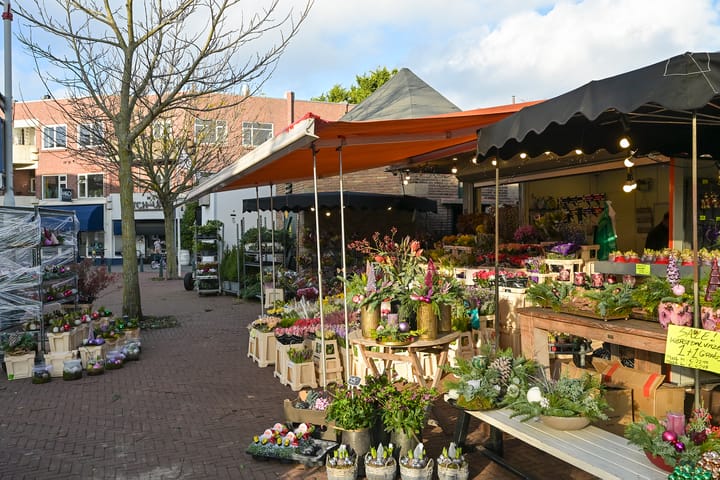 Foto 37 van Goudenregenstraat 138