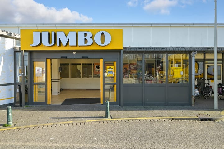 Foto 46 van Goudenregenstraat 138