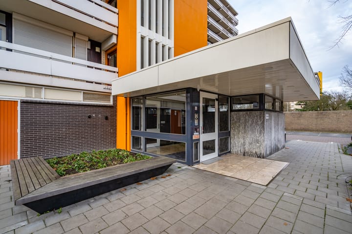 Foto 5 van de Koppele 245