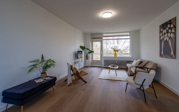 Foto 16 van de Koppele 245