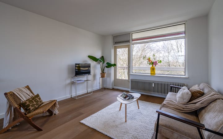 Foto 17 van de Koppele 245