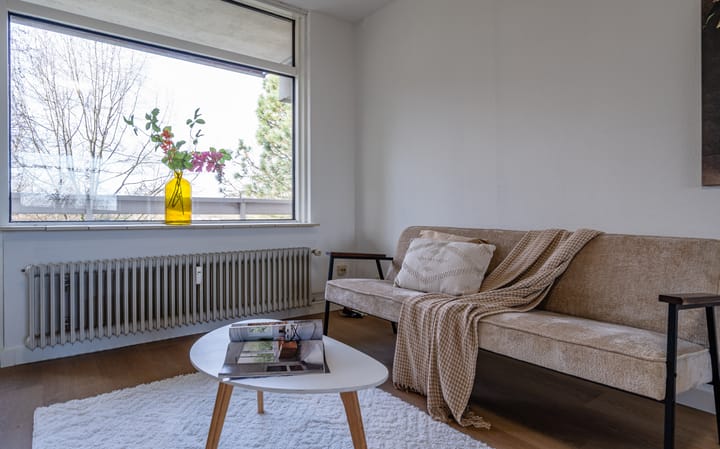 Foto 20 van de Koppele 245