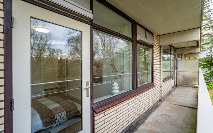 Foto 29 van de Koppele 245