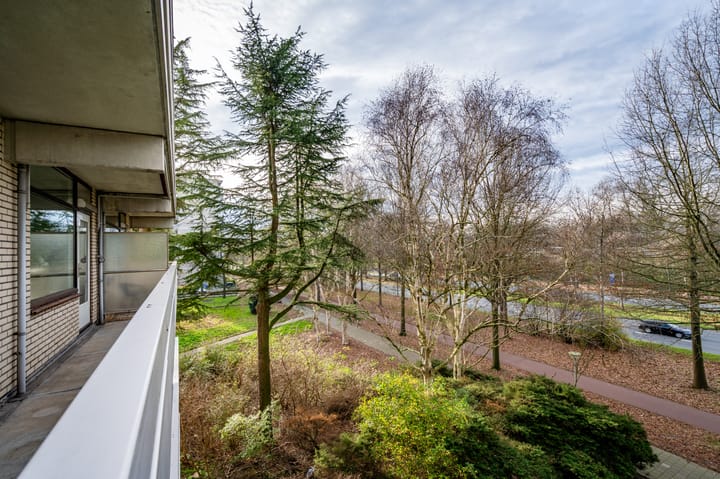 Foto 31 van de Koppele 245