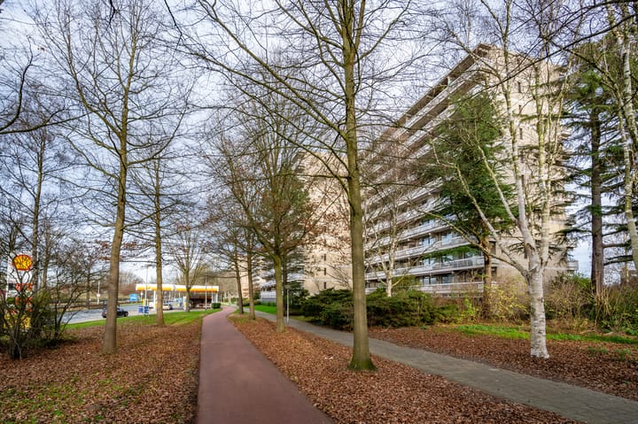 Foto 34 van de Koppele 245