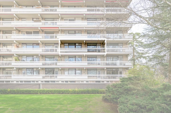 Foto 36 van de Koppele 245