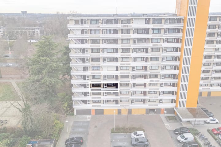 Foto 37 van de Koppele 245