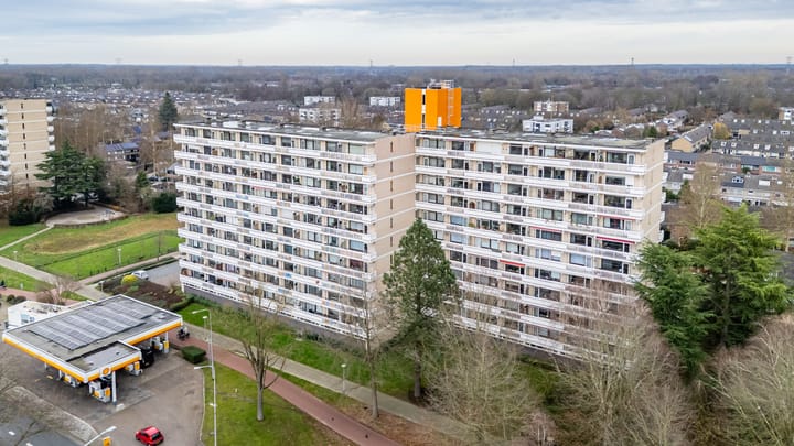 Foto 40 van de Koppele 245